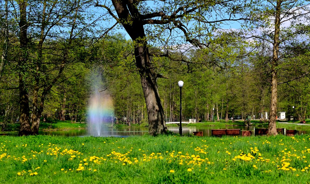 Радужный фонтан., Зеленоградск