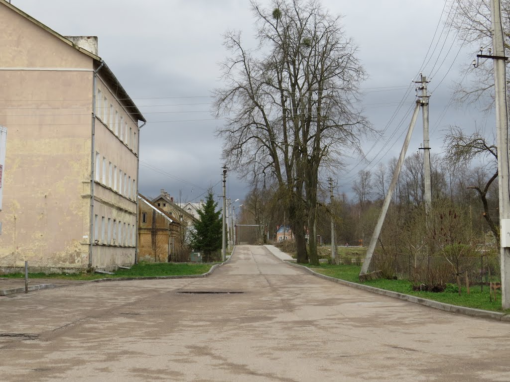Улица, Краснознаменск