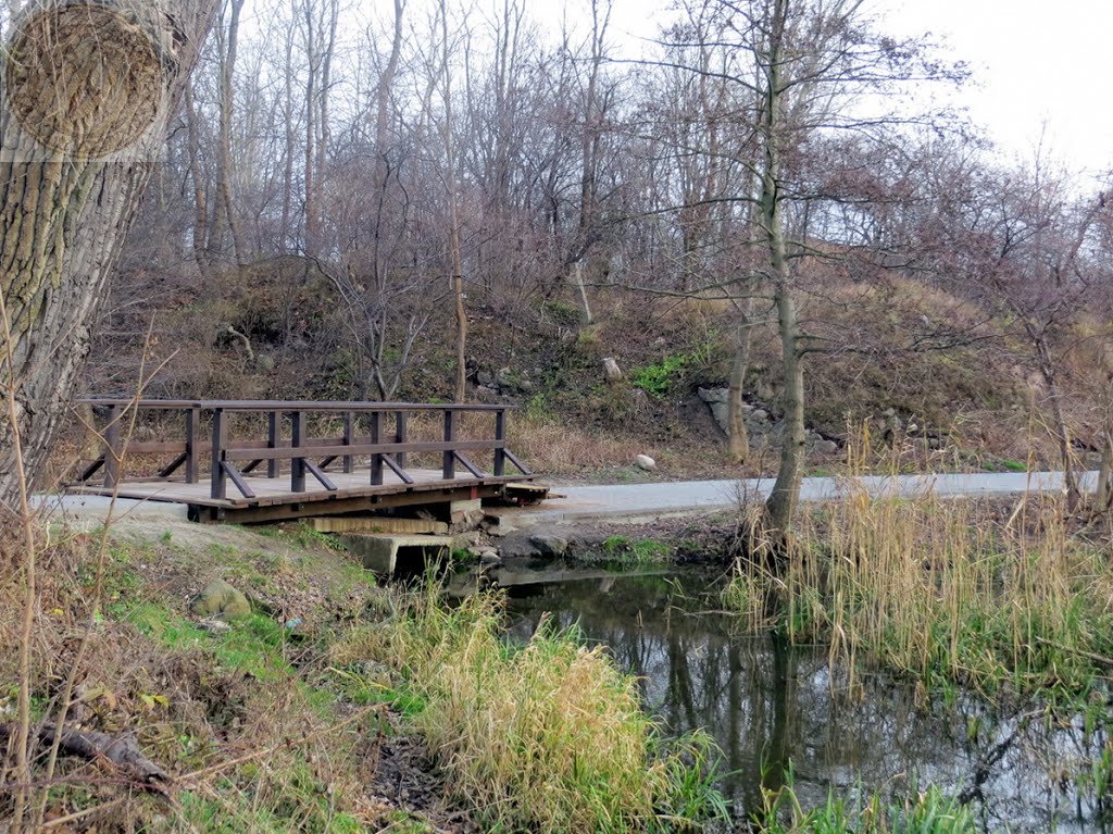 An der Jarft + Деревянный мост, Мамоново