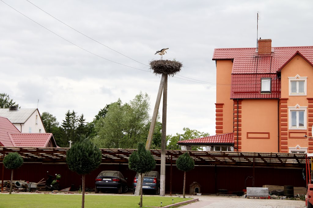 Аист, кафе, Большая Серпуховская ул., 13, стр. 5, Москва, Россия - Яндекс Карты