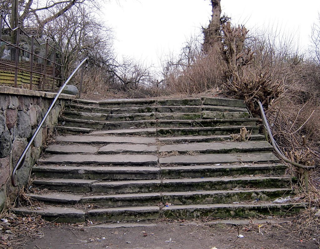 Старая лестница, Мамоново