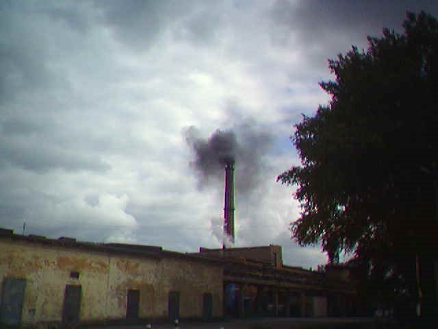 Hell Factory, Неман