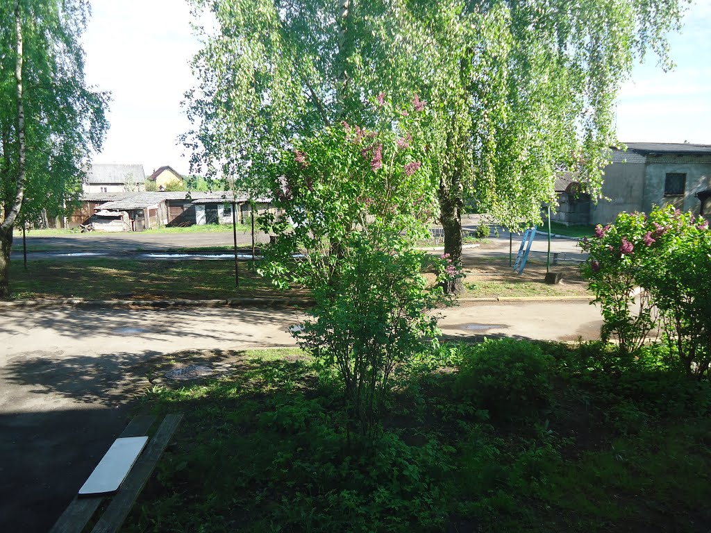 Вид из окна на ул. Луговую, Неман