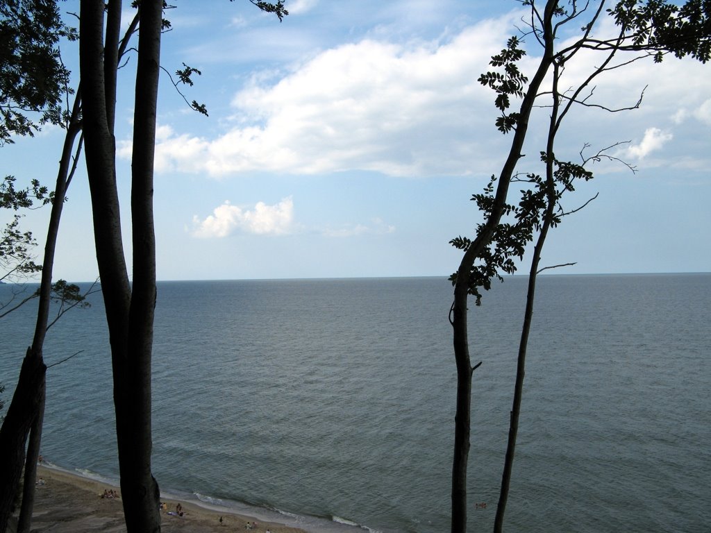 Балтийское море. Штиль. Вид с верхушки откоса. г.Светлогорск (ранее Rauschen), Светлогорск
