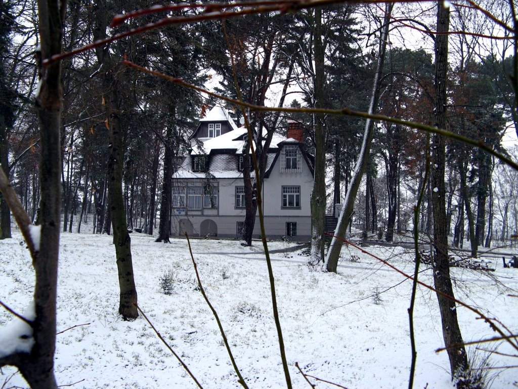 The winter has begun 2, Светлогорск