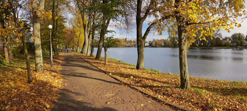 Осень. Аллея вдоль северного берега Городского пруда в Советске., Советск