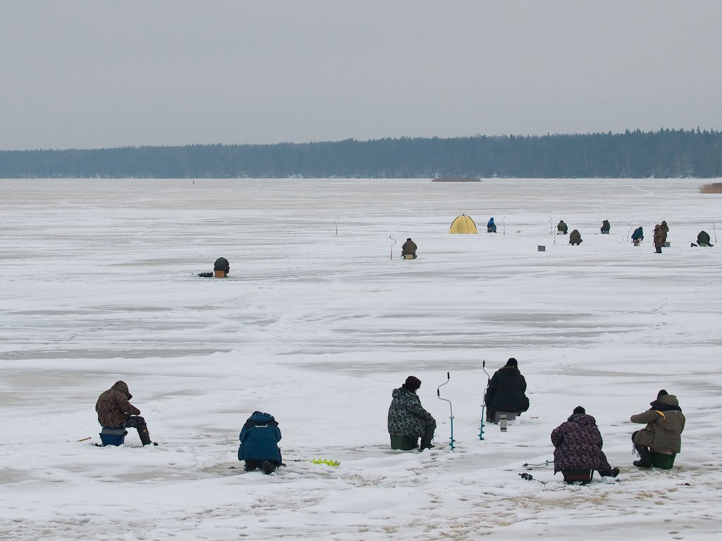 Fishermans on the ice of Volga, Белый Городок
