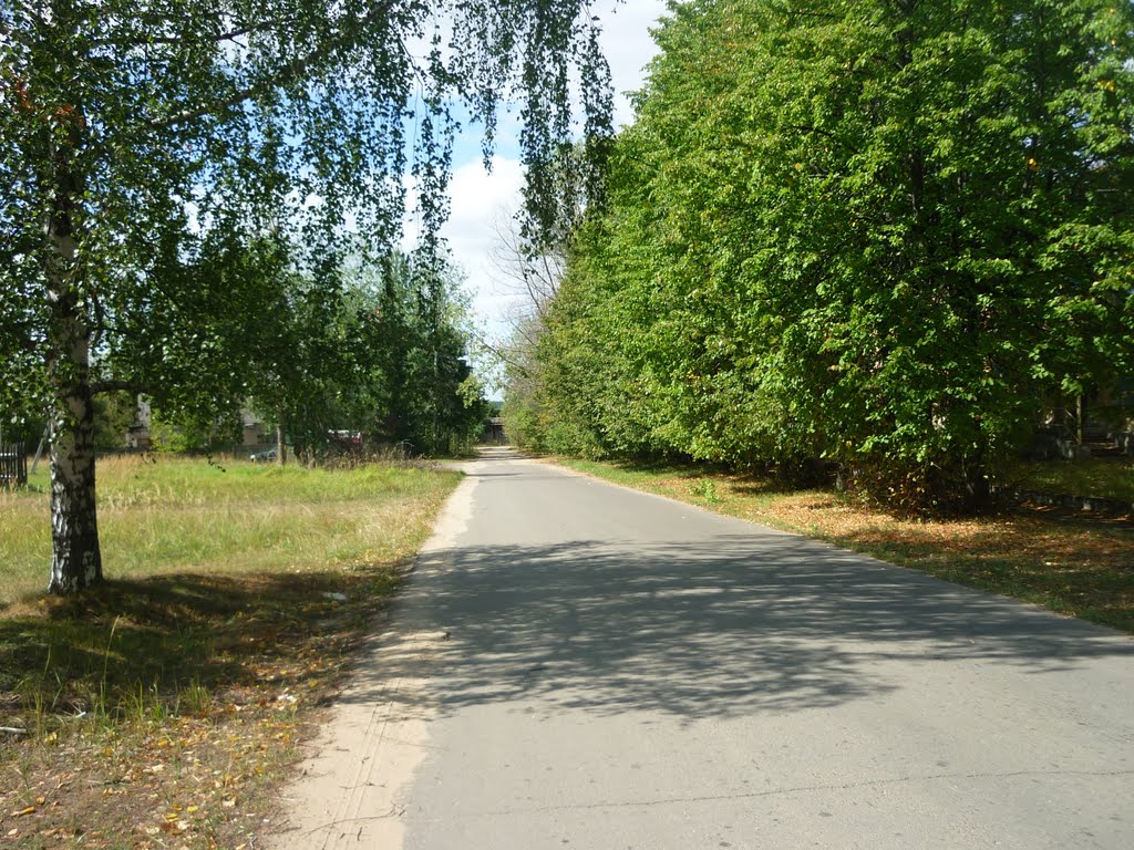Заводская улица (в сторону Волги), Белый Городок