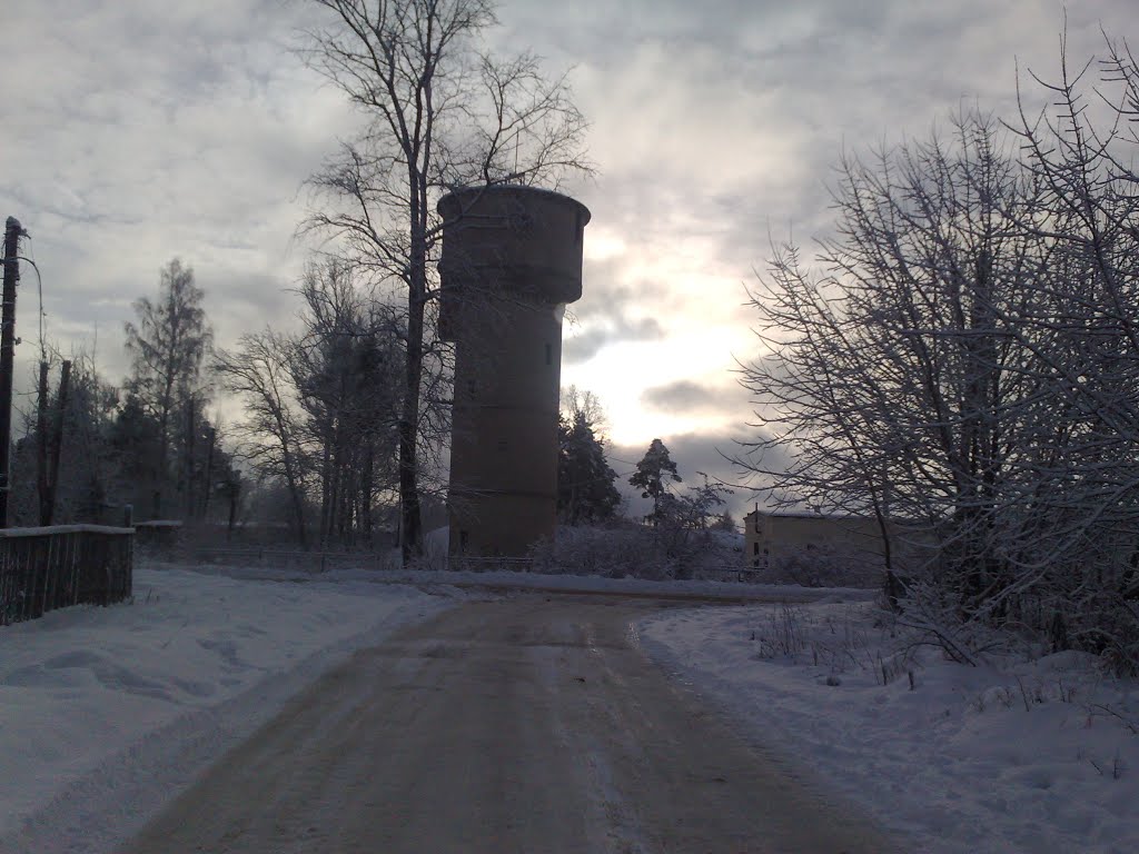 водонапорная башня, Васильевский Мох