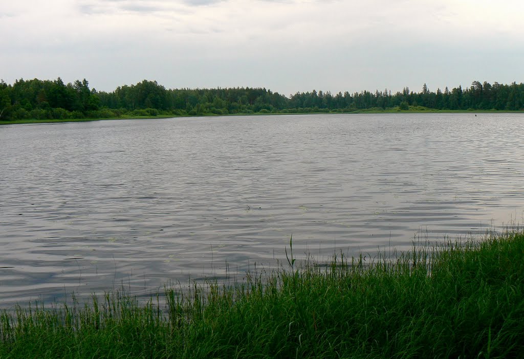 Вид на озеро, Жарковский