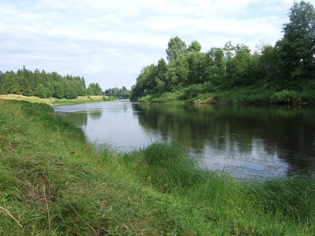 Река Межа (чуть ниже Кривой берёзы), Жарковский