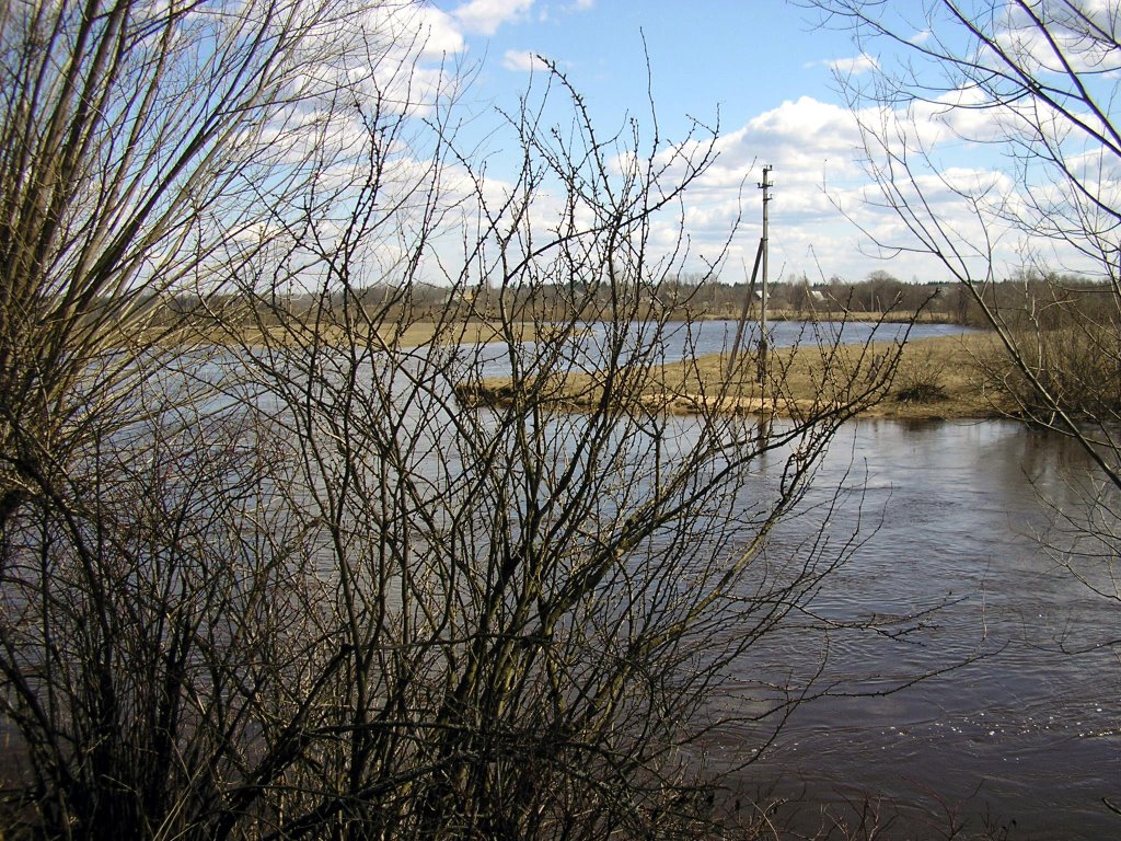 river near Bolnichnaya str., Западная Двина