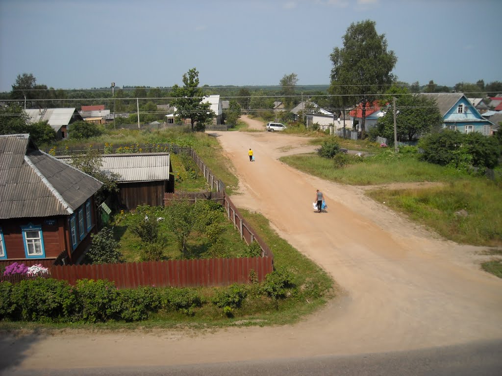 Polevaya, Западная Двина