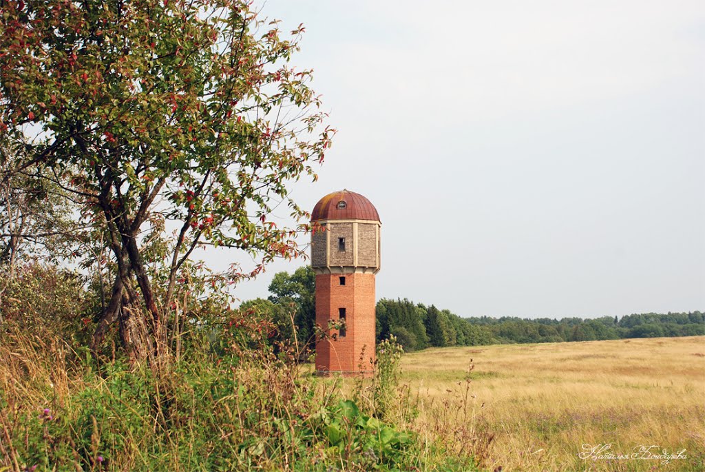 Водонапорная башня в Чевакино, Калинин