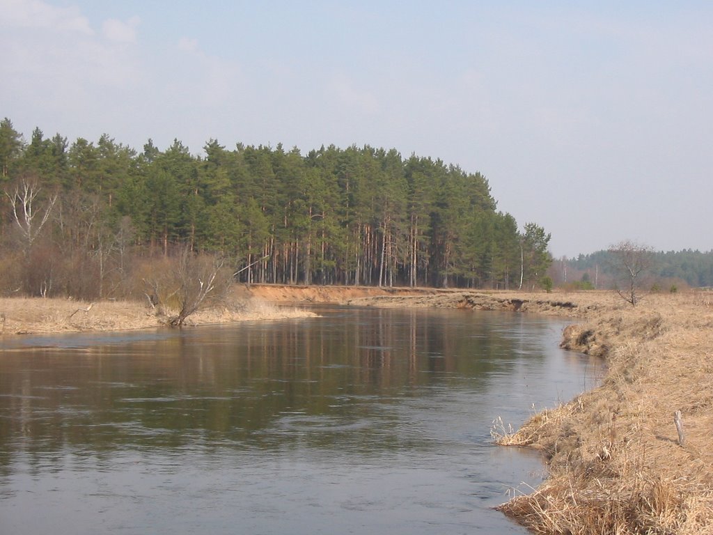 Река Осуга близ деревни Машутино, Калинин