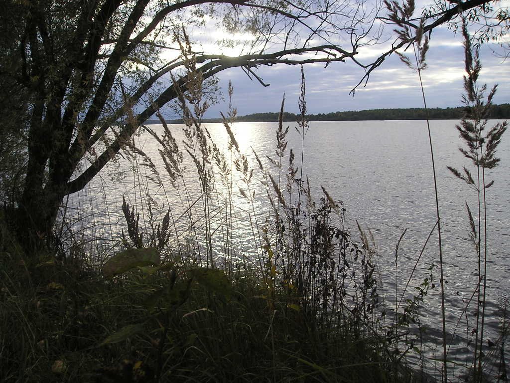 Иваньковское водохранилище на окранине Конаково (Ivankovskoye resrvoir), Конаково