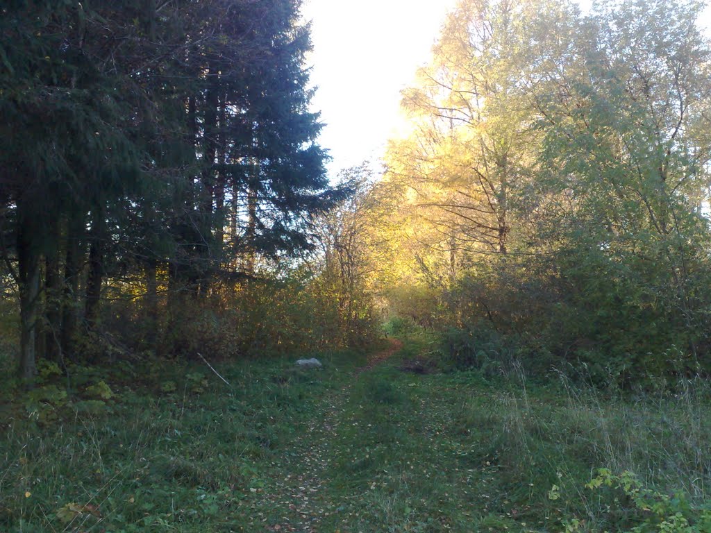 Осенняя тропинка, Кувшиново