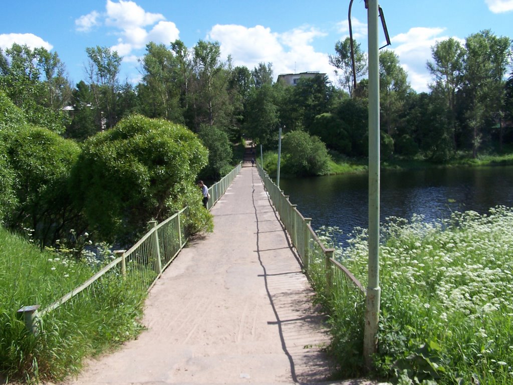 Пешеходный мост через Семиковку, Нелидово