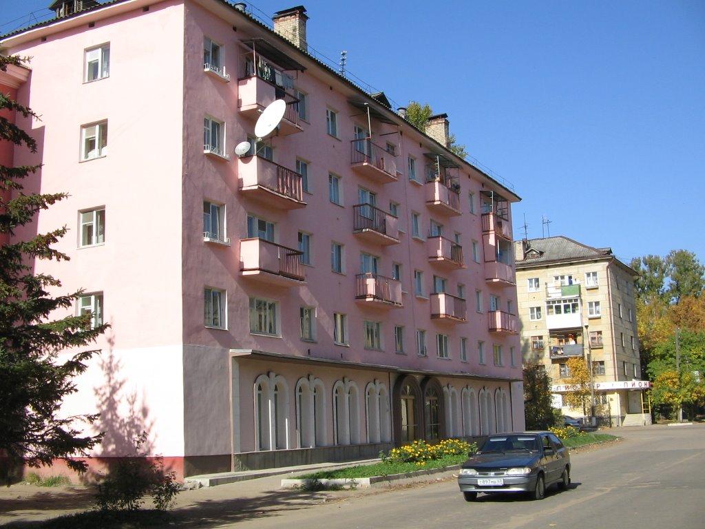 Розовый дом / Pink House, Ржев