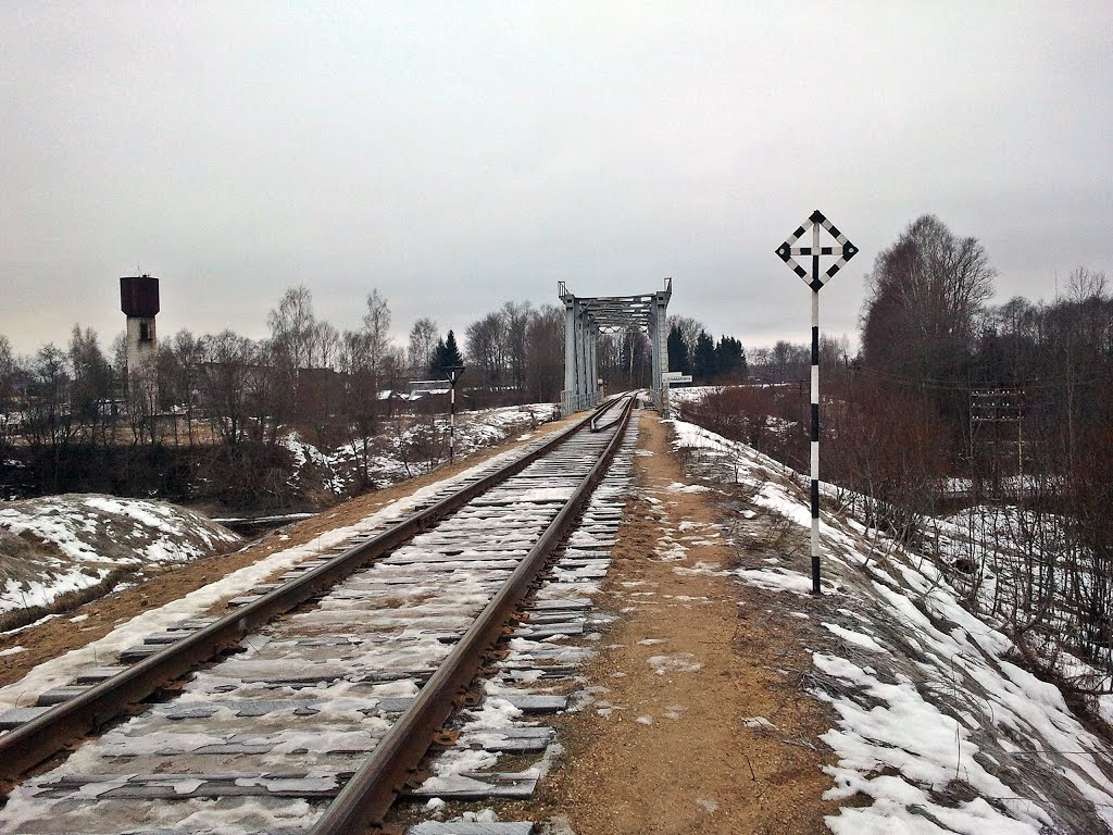 январь 2014, Селижарово