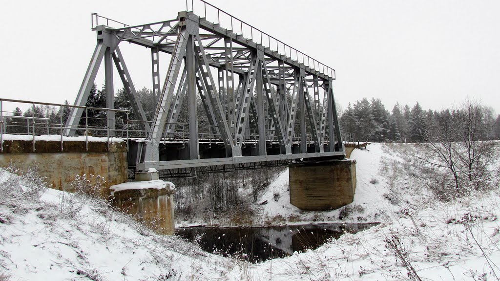 Мост через Селижаровку, Селижарово
