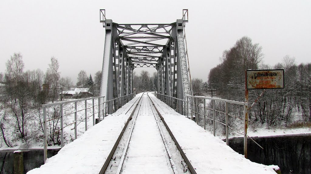 Bridge, Селижарово