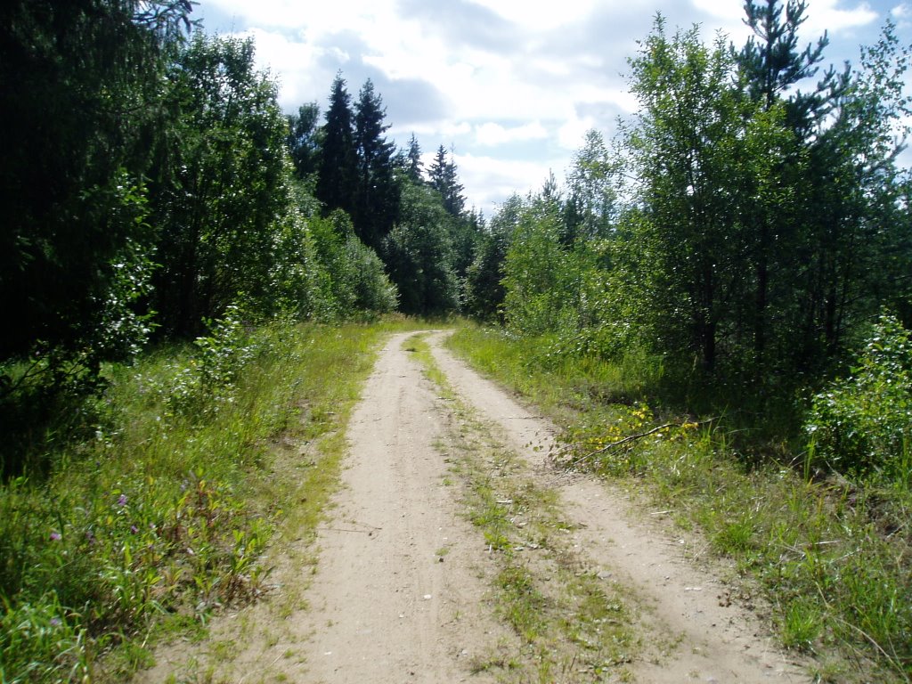 Дорога в лесу, Спирово