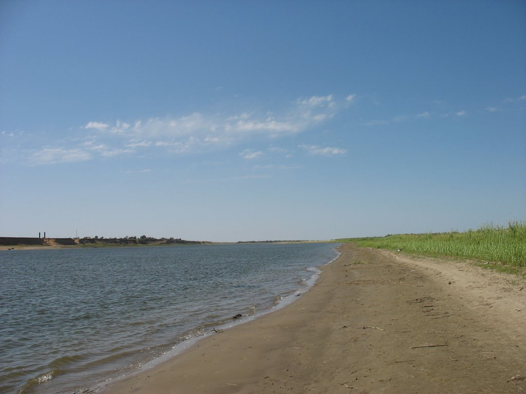 Волга, остров; вдалеке на высоком берегу видна Ветлянка, Юста