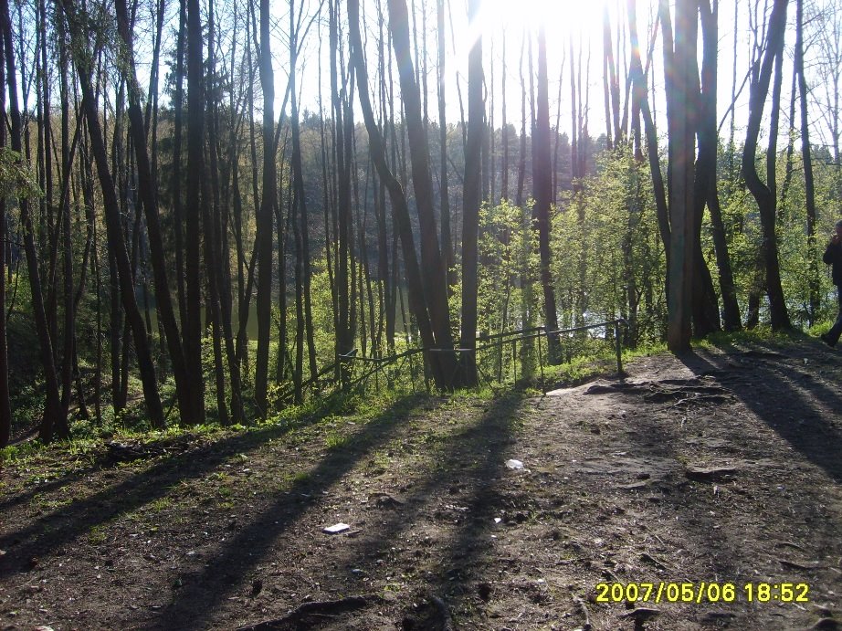 лес, Балабаново