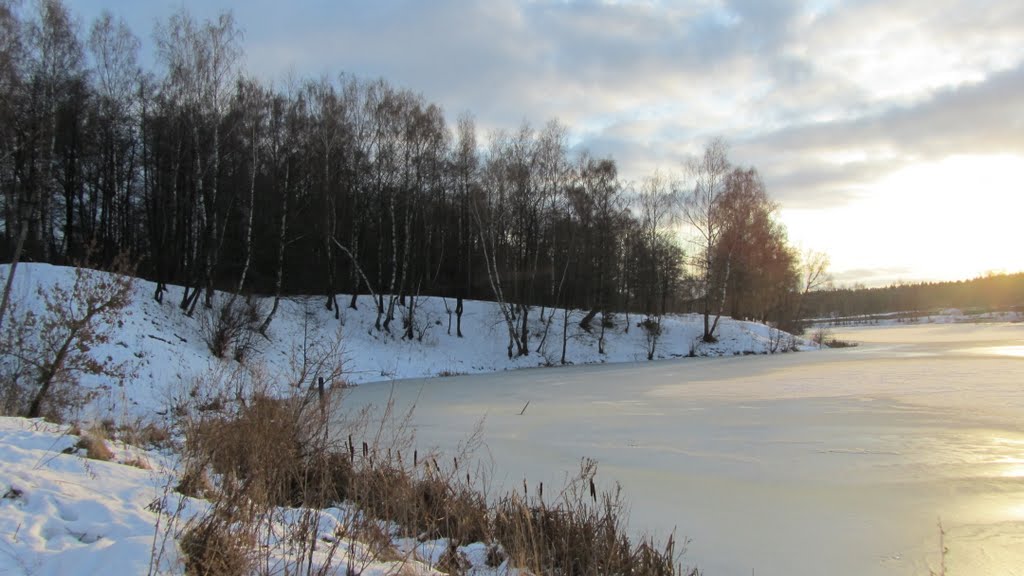 Белоусовский пруд зимой 2012г., Белоусово