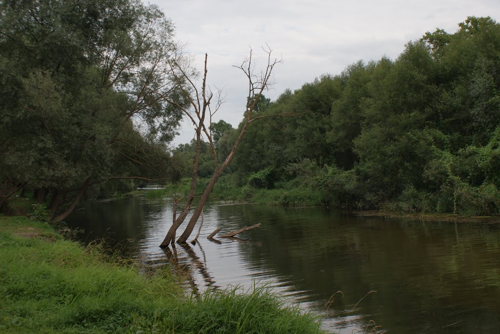 Река в Боровске, Боровск
