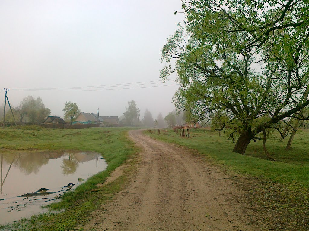 near Bryn village, Думиничи