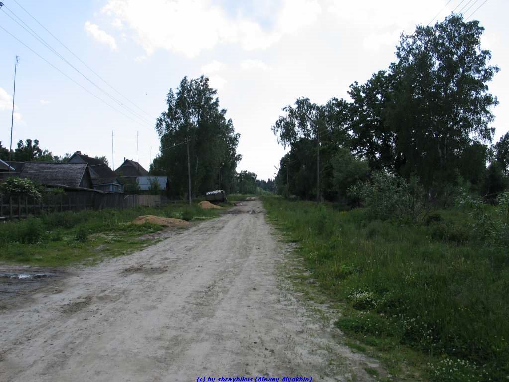 Улица Октябрьская в сторону ул. Королёва (11.06.2009), Еленский