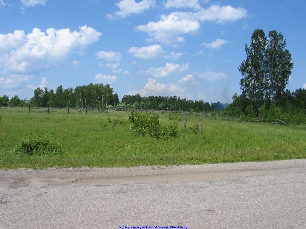 Вид с дороги на Клён на пригородные участки (11.06.2009), Еленский