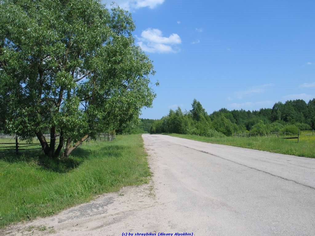 Дорога на Клён со стороны перекрёстка улиц Королёва и Октябрьской (11.06.2009), Еленский