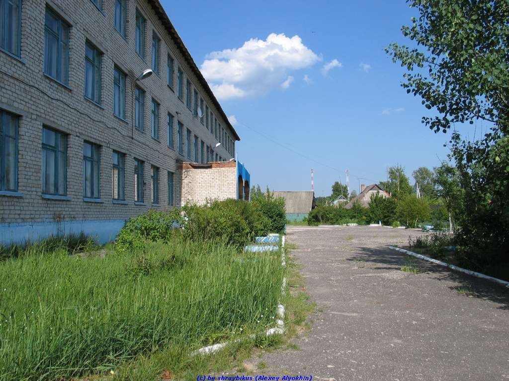 Еленская средняя школа (11.06.2009), Еленский