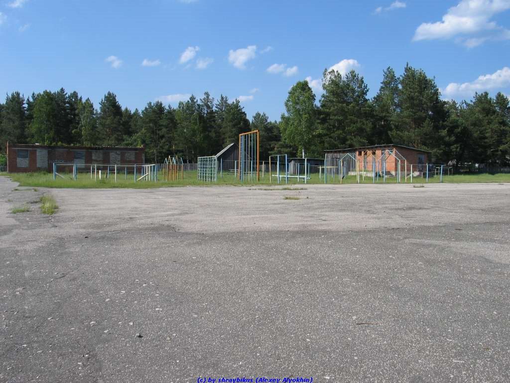 Полоса препятствий в Еленской средней школе(11.06.2009), Еленский