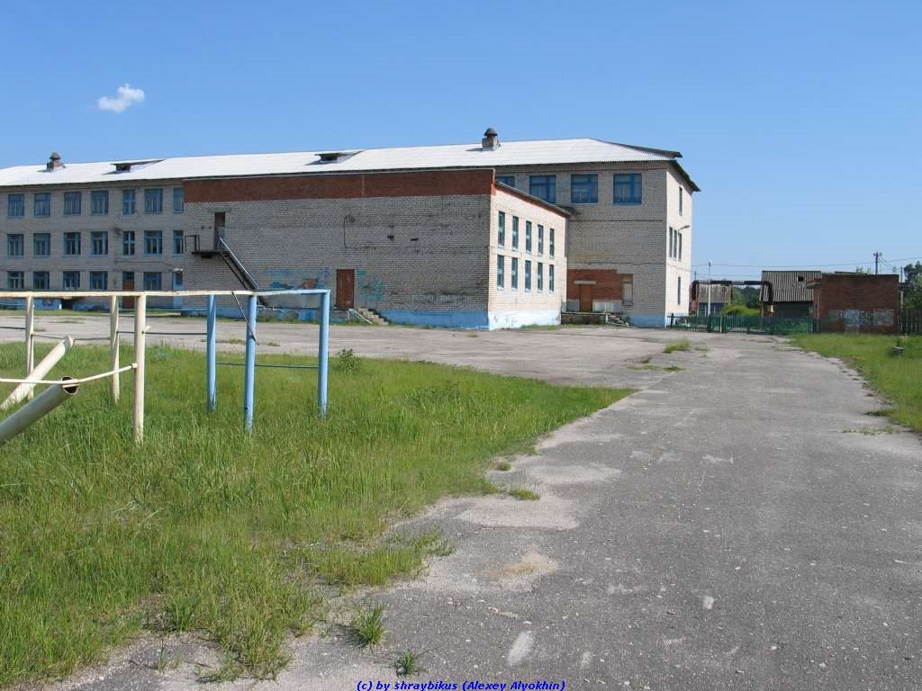 Еленская средняя школа со стороны калуголеса (11.06.2009), Еленский