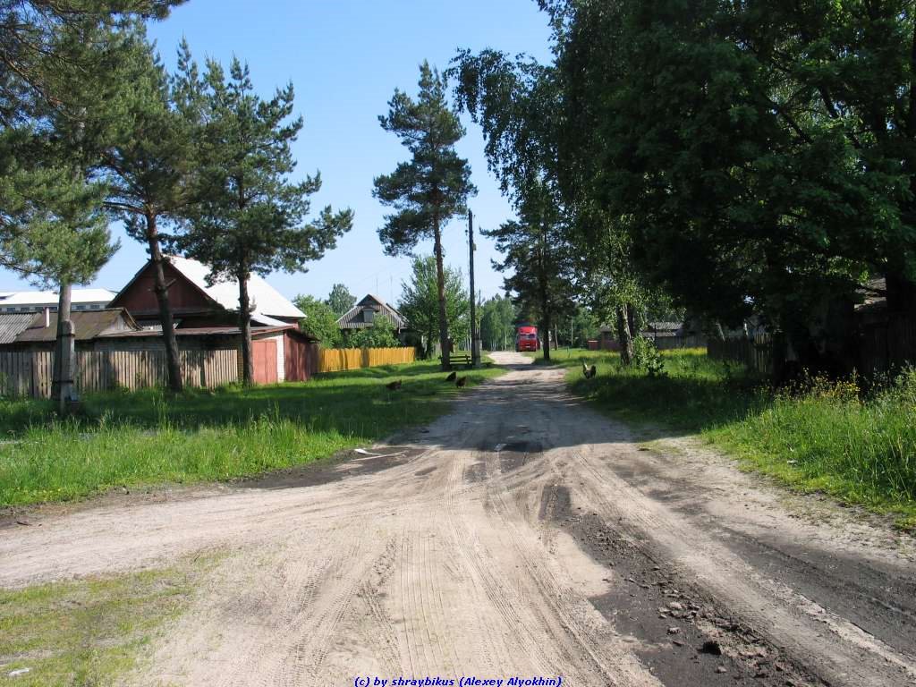 Перекрёсток (11.06.2009), Еленский