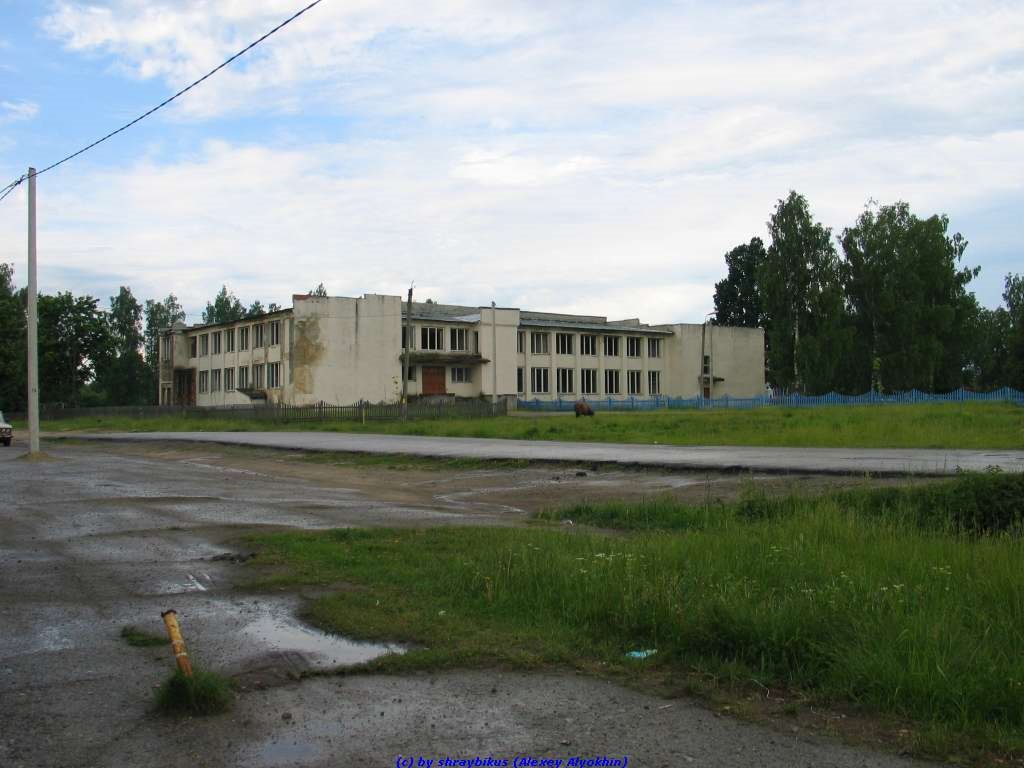 Еленский Дом Культуры (12.06.2009), Еленский