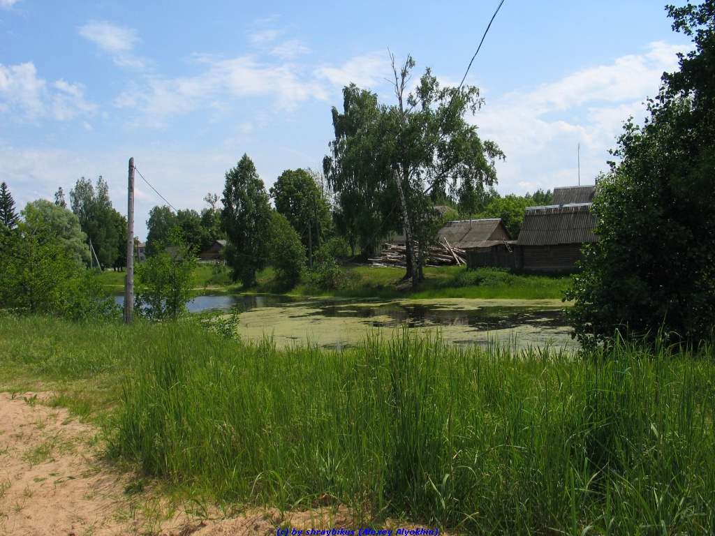 Гутовский пруд (12.06.2009), Еленский