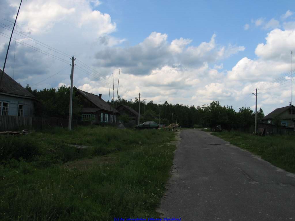 ул.Лесная (12.06.2009), Еленский