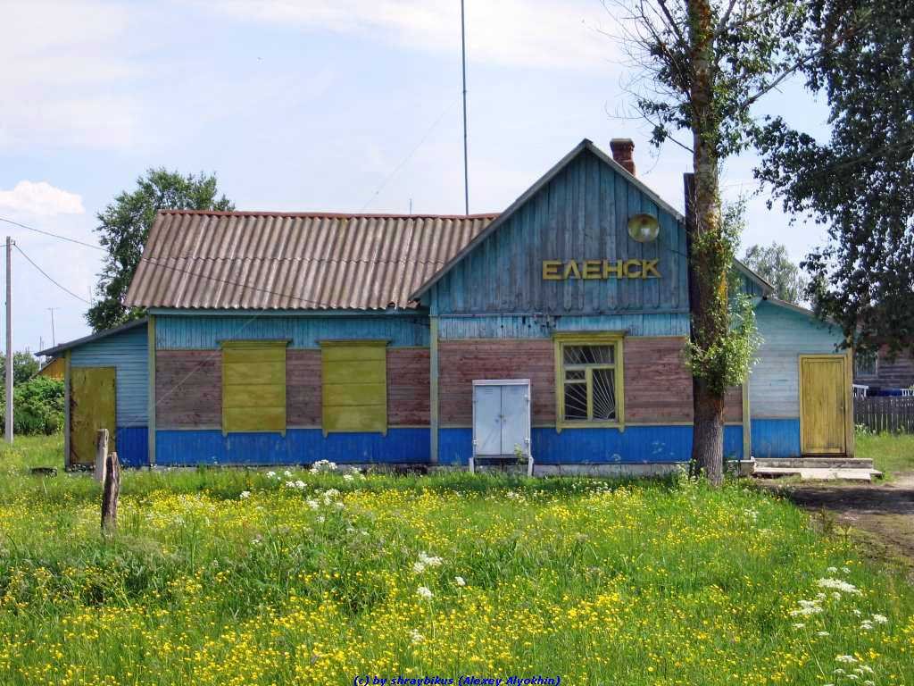 Станция Еленск (12.06.2009), Еленский