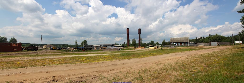 Раньше здесь был стекольный завод, а теперь - пилорама (12.06.2011), Еленский