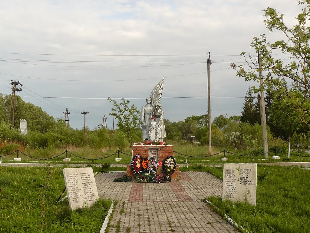 Памятник, Износки