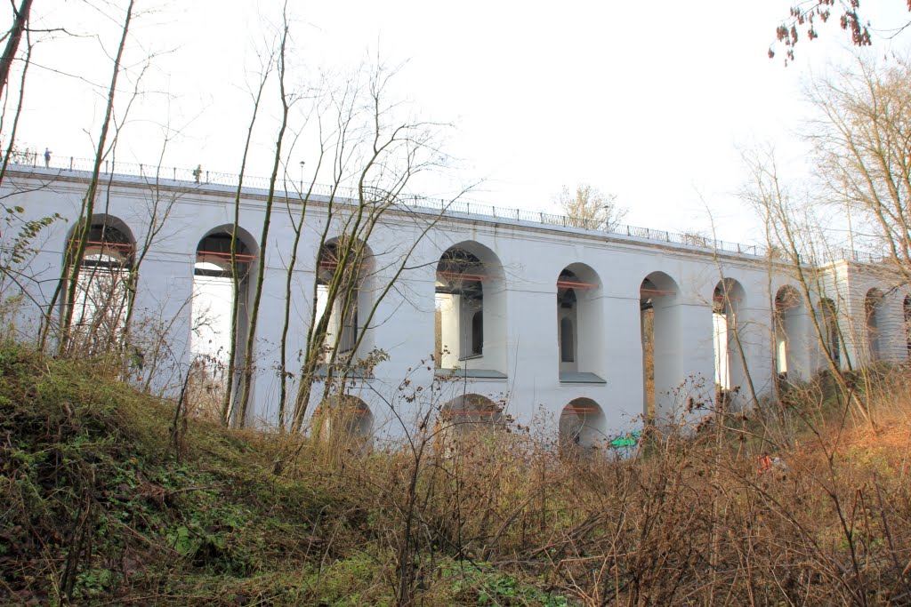 Акведук,сооруженный в XVIII веке по проекту Никитина, через Березуйский овраг., Калуга