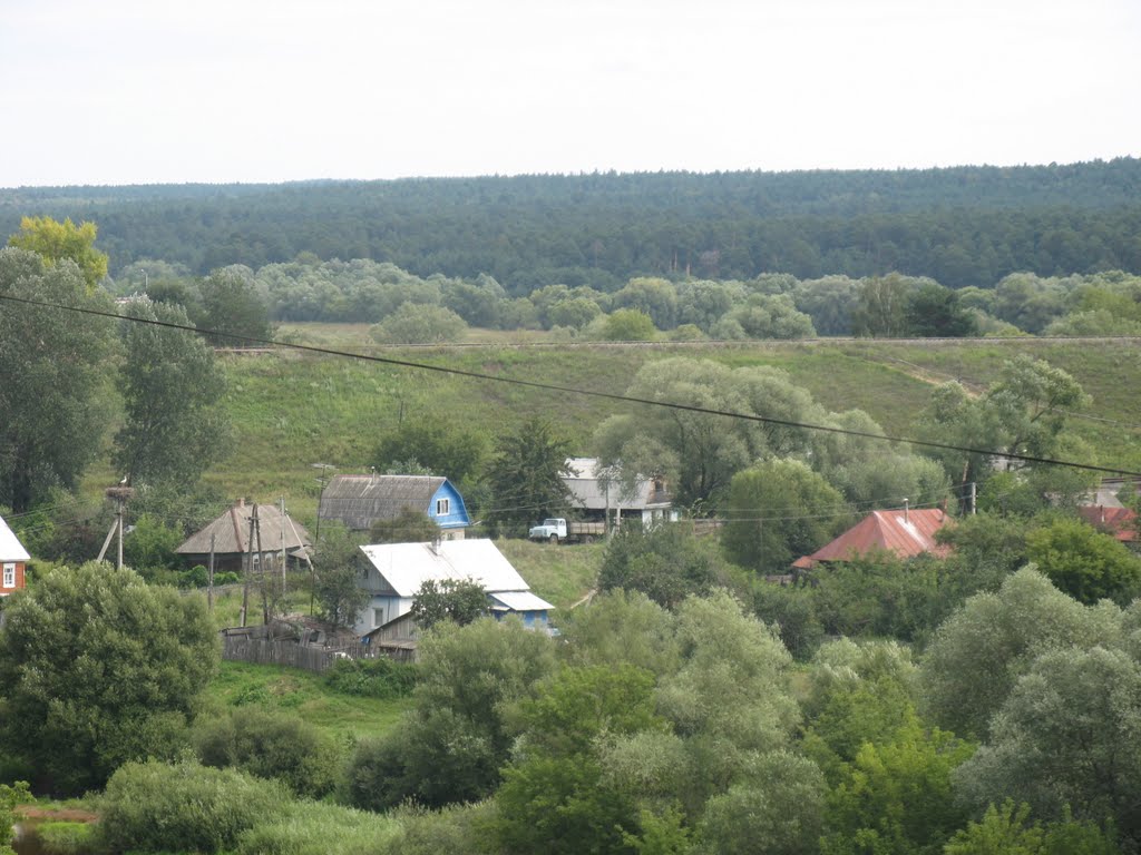Вид со стороны "древнего города" на окружающую территорию., Козельск