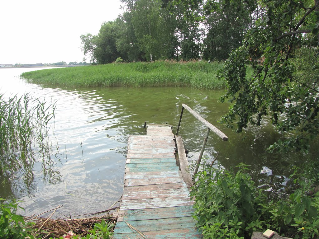 озеро Ломпадь-деревянный мостик, Людиново