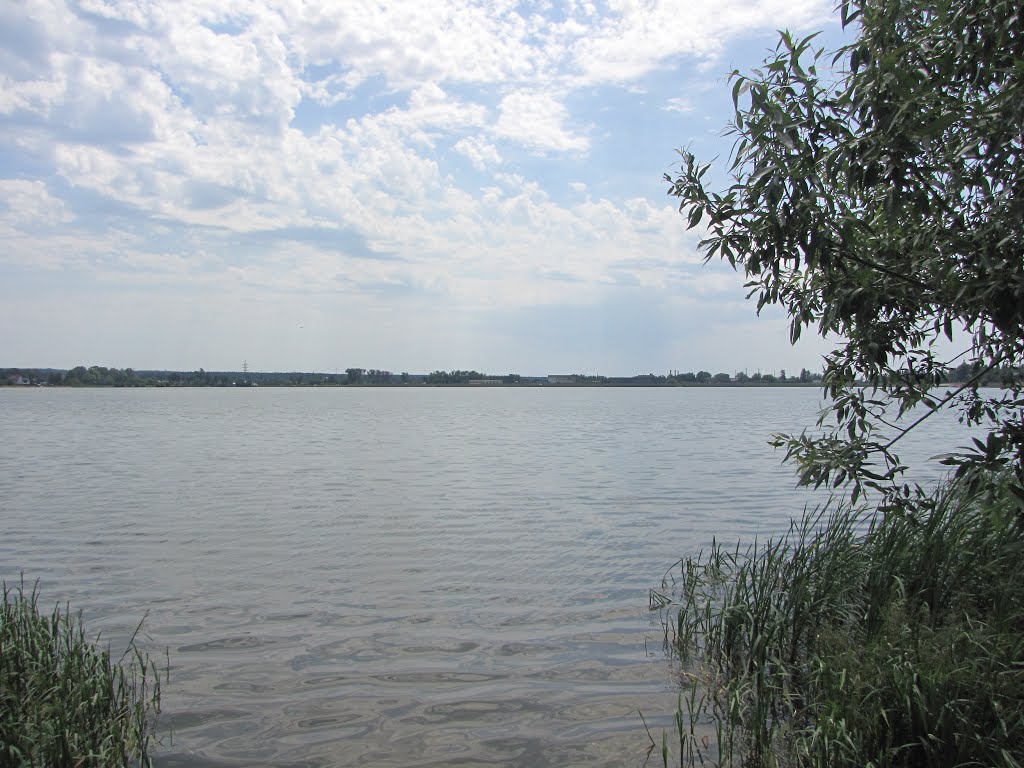 озеро Ломпадь, Людиново