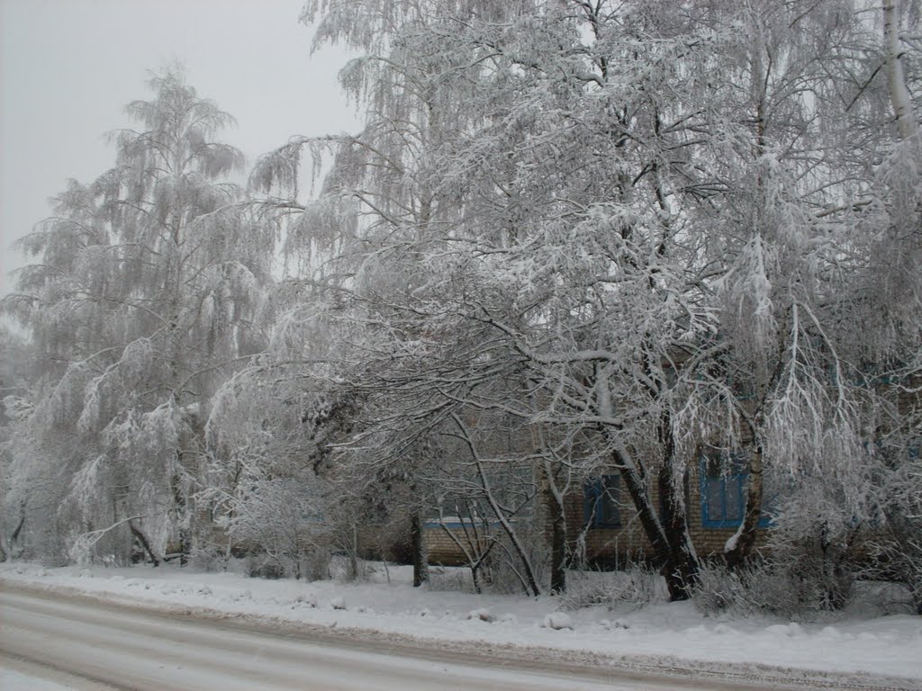 Зима, Людиново